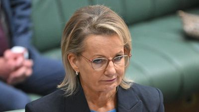 'Women are watching' treatment of Sussan Ley by party