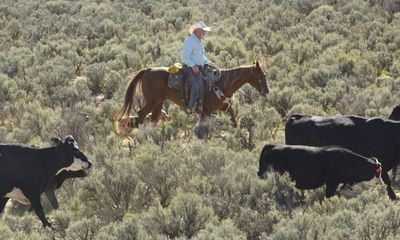 The David vs. Goliath Story of a Ranching Family and an Oil Giant