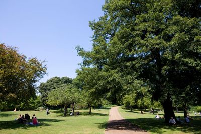 We need to restore Britain’s connection to nature