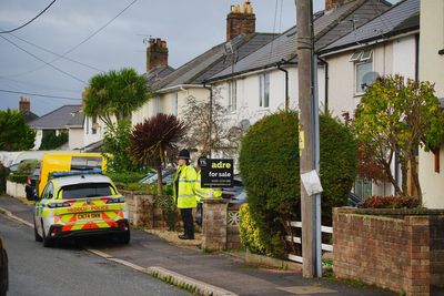 XL bully killed nine-month-old boy at home, police say