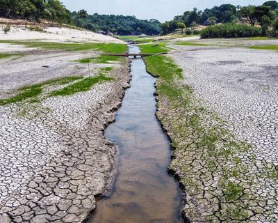 Still a chance to return to 1.5C climate goal, researchers say