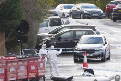 Father drove car at stabbings suspect after train attack