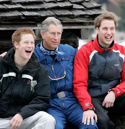 King Charles Once Had to Have the Cops "Check" In During "Funny" Incident at Prince Harry and Prince William's Bonfire Night Party