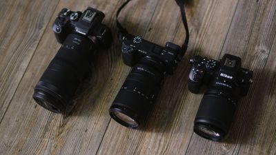 Compact cameras get all the attention, but mirrorless is growing too. 2025 is on track to be the best year for cameras since 2019, according to CIPA