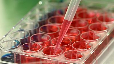 Research fund gap risks pandemic and biothreat defences