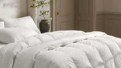 I Can Finally Enjoy Sleeping with Down Again – This Luxe Duvet Eliminated My Allergy Concerns