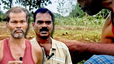 From Cyclone Titli to Montha: Odisha’s farmers suffer year after year