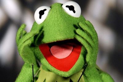 I'm a millennial office frog — it's a survival tactic