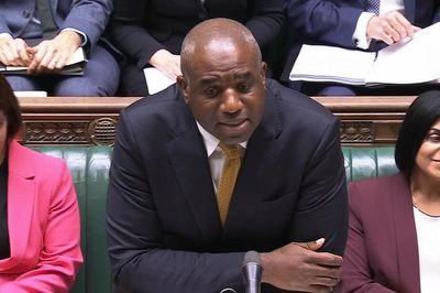 Lammy under fire for buying suit instead of ‘taking charge’ of mistaken releases