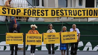 Activists call for stronger climate commitments ahead of COP30 summit in Brazil