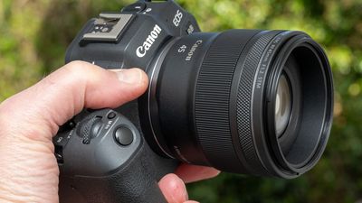 Canon RF 45mm f/1.2 STM review: The super-fast glass that's super affordable –and punches way above its weight and price point