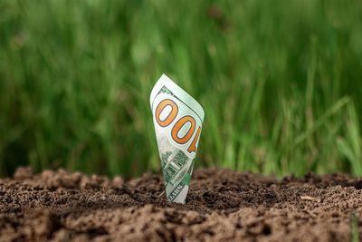 From Dividends to Growth: Why These 3 Stocks Stand Out in 2025