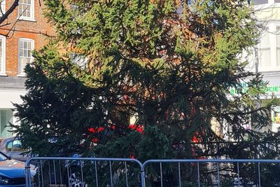 Town’s ‘half dead’ Christmas tree replaced after council brands it a ‘disgrace’