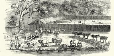 Access to water has a long racial history in Durban: I followed the story in the city’s archives