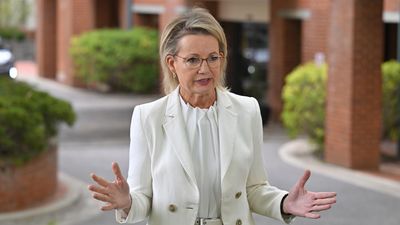 Ley downplays leadership talk, insists party 'united'