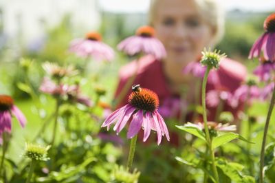 How Autumn Pollinators Choose Their Flowers