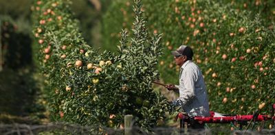 Canada’s food sovereignty depends on better jobs for farmworkers