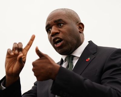 Why doesn’t Lammy just bring in a new policy of accidentally jailing people?