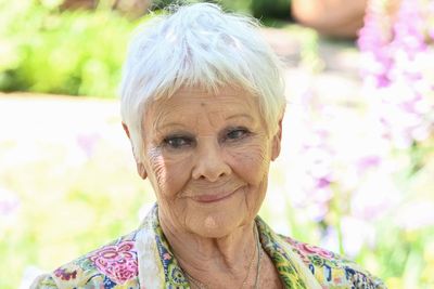 Dame Judi Dench says she's now too blind to watch theatre or TV but still wants the dirt on Celebrity Traitors