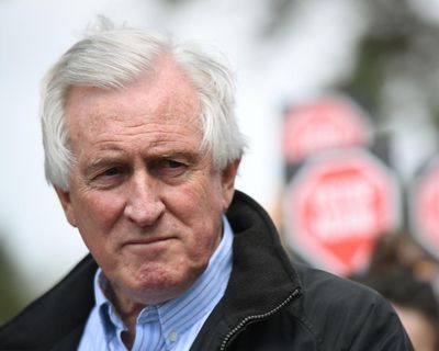 Former federal Liberal candidate says dumping net zero could cause ‘generational damage’ – as it happened