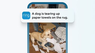 Your Ring camera is about to get smarter with Single Event Alert – and it should mean fewer notifications