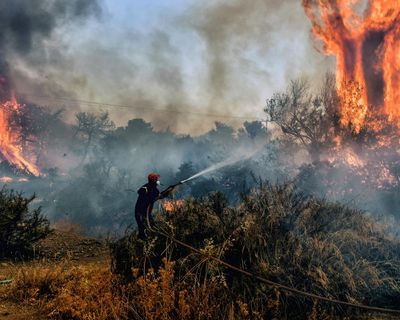 Net zero is an insidious loophole that distracts from the scientific imperative to eliminate fossil fuels