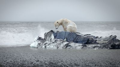 Global warming is forcing Earth's systems toward 'doom loop' tipping points. Can we avoid them?