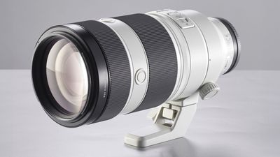 Could Sony be about to release a pair of new 100-400mm telephoto zooms?