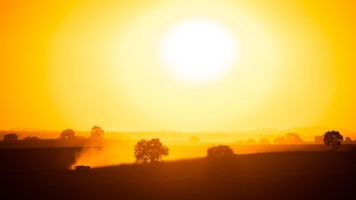 Scientists Issue Warning As Report Shows 2025 Might Be One Of The Warmest Years On Record