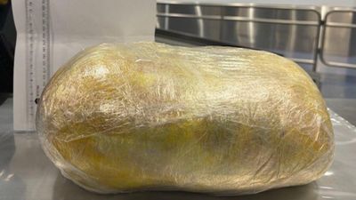 Dodgy traveller admits to having large package in pants