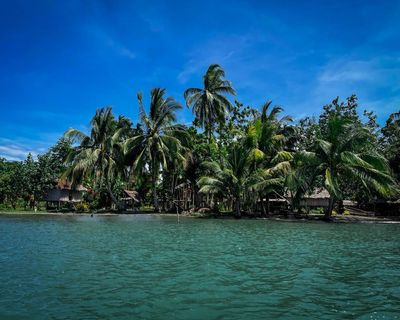 ‘Long on talk and short on action’: Papua New Guinea leader criticises Cop climate summits ahead of Brazil meeting
