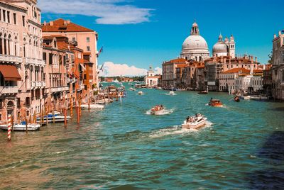Amazonica's insider guide to Venice