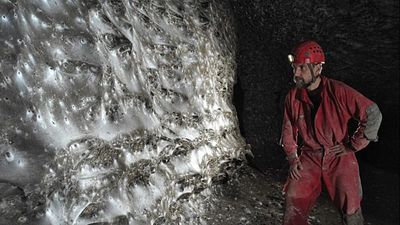 World's biggest spiderweb home to more than 110,000 spiders discovered on the Albanian-Greek border