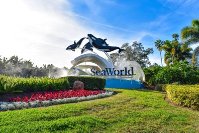 'Inconsistent' US Consumer Leaves SeaWorld Parent United Parks On A Wild Ride