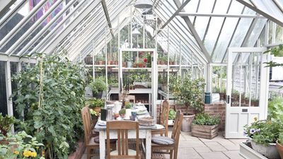 A Mini Greenhouse is the Ideal Solution to Protect Plants in Winter and Extend the Gardening Season – and I've Found a Wayfair Option That's 50% Off