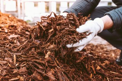 The Secret to Fall Mulch That Supercharges Next Spring’s Blooms