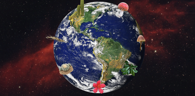 A psychedelic tour of Earth’s ecosystems – from the desert to Siberia