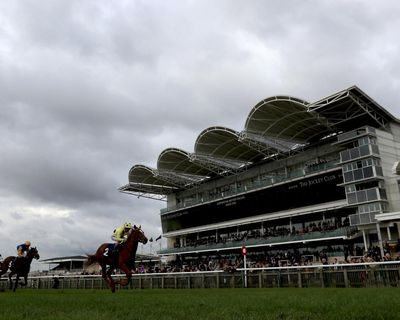 Newmarket horse owner receives notice of complaint over ‘constant neighing’