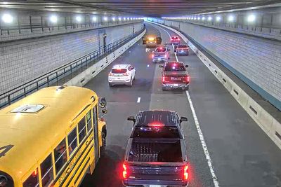 Wrong-way rover: Dog is rescued from a busy Boston tunnel during rush hour