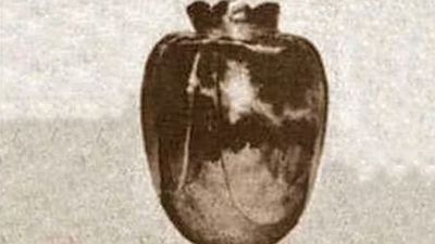 ‘Beware… This vase brings death’: Man ignores 500-year-old warning note. 3 months later, his fate is sealed