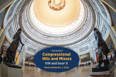 VIN and bear it — Congressional Hits and Misses - Roll Call