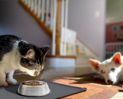 These Genius Pet Finds Make Life Bougier (And Tidier) Without Draining Your Wallet