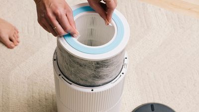 Can you clean and reuse your air purifier filter? I asked the experts