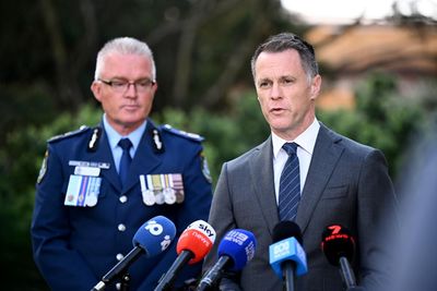 Police need more powers to stop ‘naked racism and hatred’ after allowing Sydney neo-Nazi rally, premier says