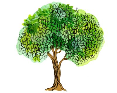 How many trees a day do we cut down for paper? The kids’ quiz