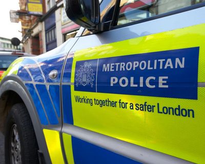 Former Met police officer accused of using sex workers while on duty
