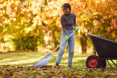 Stop Raking! Why Leaving the Leaves Might Save Your Lawn