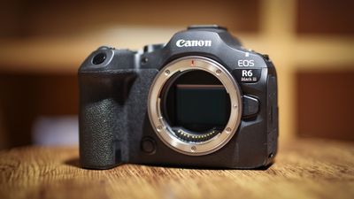 Canon EOS R6 Mark III sample photo gallery: See what Canon's 32.5MP / 7K powerhouse camera can do