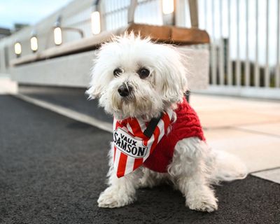 Sunderland 2-2 Arsenal: Premier League – as it happened