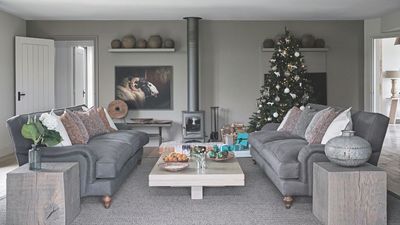 I'm a Professional Cleaner and These Are the 3 Embarrassing Things I Always Notice About Dirty Couches When I Visit at Christmas – Plus, the Quick Fixes